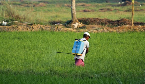 Pest Agriculture - man in white t-shirt and blue denim shorts with blue backpack walking on green grass