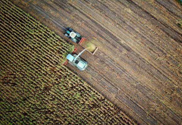 Agriculture - two trucks on plant field