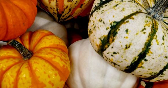 Crop Boosters - pumpkins