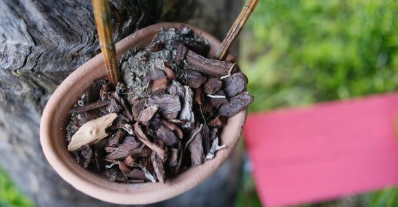 Soil Health - Brown Dried Leaves And Tree Bark On Brown Clay Pot