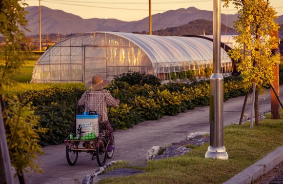 Pesticide Usage - a person in a hat pushing a cart with plants and a greenhouse in the background